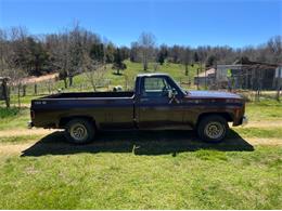 1979 Chevrolet Scottsdale (CC-2110607) for sale in Cadillac, Michigan