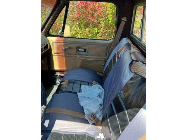 1979 Chevrolet Scottsdale (CC-2110607) for sale in Cadillac, Michigan