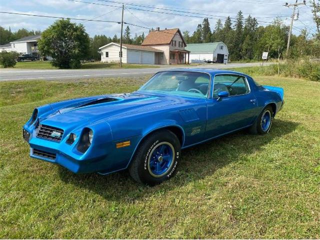 1978 Chevrolet Camaro (CC-2110608) for sale in Cadillac, Michigan