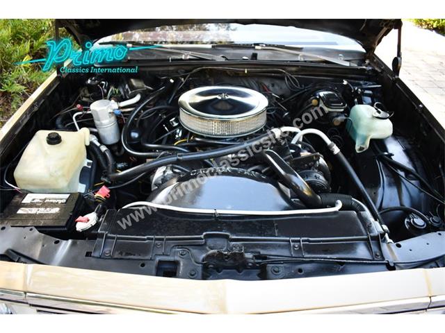 1981 Chevrolet El Camino (CC-2116108) for sale in Lakeland, Florida