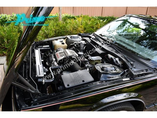 1989 Buick LeSabre (CC-2116109) for sale in Lakeland, Florida