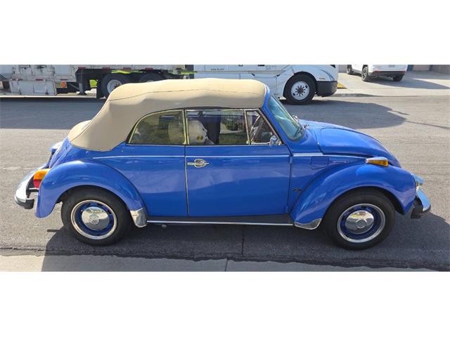 1978 Volkswagen Beetle Convertible (CC-2116137) for sale in Lantana, Florida