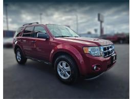 2012 Ford Escape (CC-2116169) for sale in Tacoma, Washington