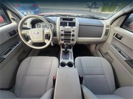 2012 Ford Escape (CC-2116169) for sale in Tacoma, Washington