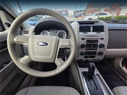 2012 Ford Escape (CC-2116169) for sale in Tacoma, Washington