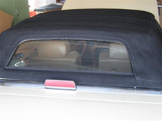 1989 Chrysler TC by Maserati (CC-2110619) for sale in Cadillac, Michigan