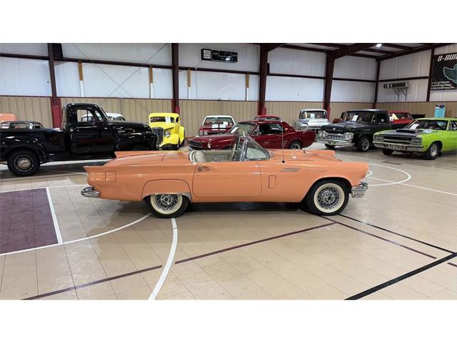 1957 Ford Thunderbird (CC-2116190) for sale in Spring Branch, Texas