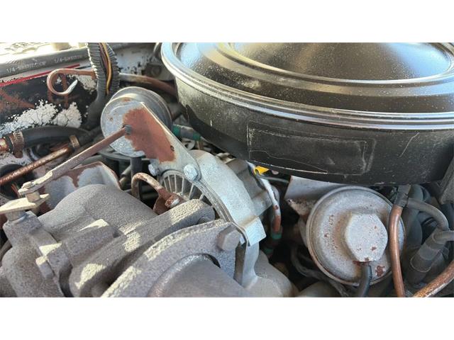 1980 Pontiac Firebird Trans Am (CC-2116231) for sale in Spring Branch, Texas