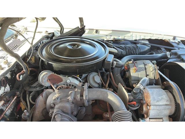 1980 Pontiac Firebird Trans Am (CC-2116231) for sale in Spring Branch, Texas