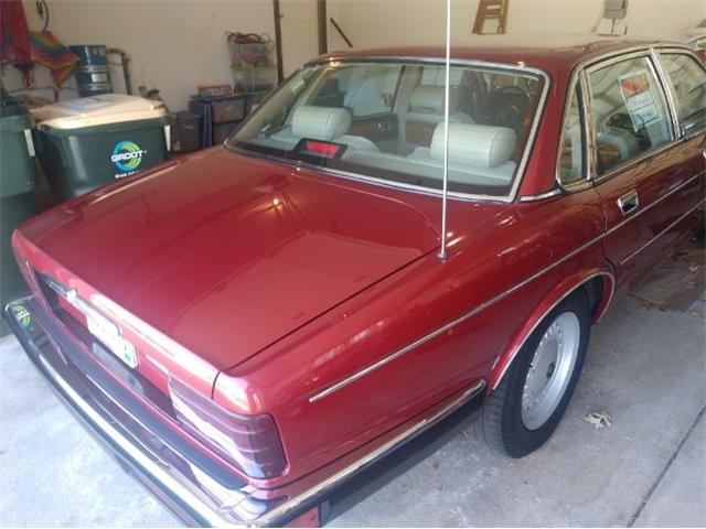1989 Jaguar XJ6 (CC-2110624) for sale in Cadillac, Michigan