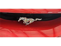 1994 Ford Mustang GT (CC-2116267) for sale in Hudson, Florida