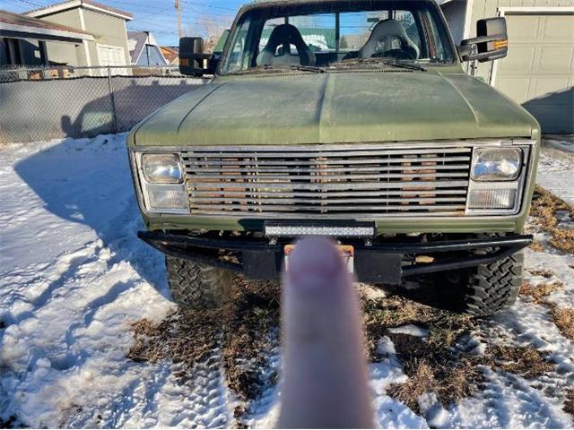 1987 Chevrolet K-10 (CC-2110629) for sale in Cadillac, Michigan