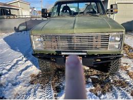 1987 Chevrolet K-10 (CC-2110629) for sale in Cadillac, Michigan