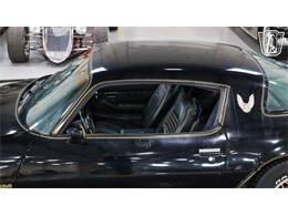 1979 Pontiac Trans Am Comp T/A (CC-2116316) for sale in New Braundfels, Texas