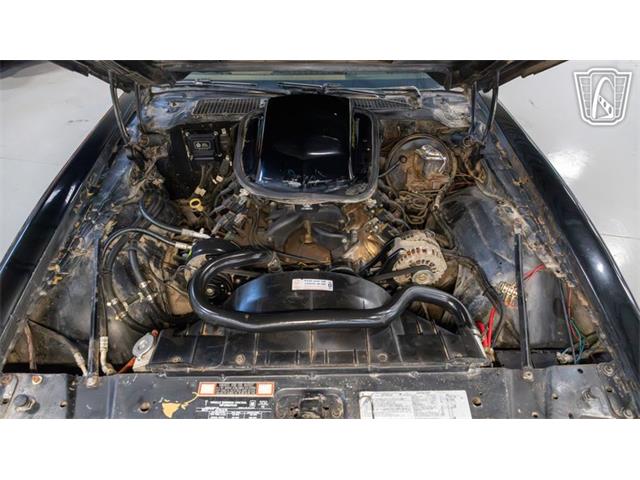 1979 Pontiac Trans Am Comp T/A (CC-2116316) for sale in New Braundfels, Texas