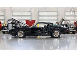 1979 Pontiac Trans Am Comp T/A (CC-2116316) for sale in New Braundfels, Texas