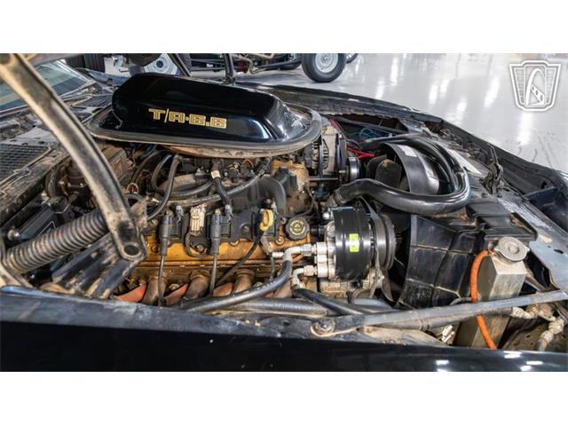 1979 Pontiac Trans Am Comp T/A (CC-2116316) for sale in New Braundfels, Texas