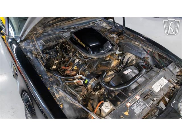 1979 Pontiac Trans Am Comp T/A (CC-2116316) for sale in New Braundfels, Texas