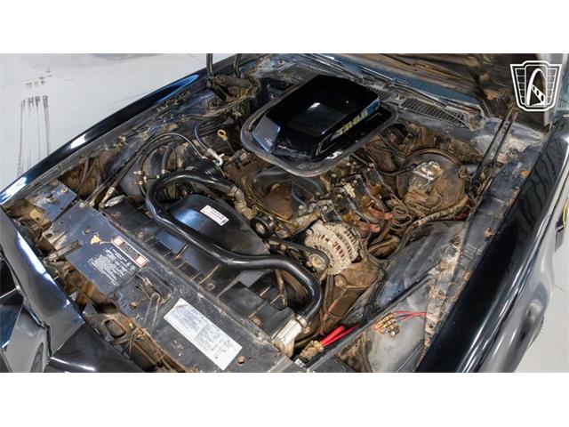 1979 Pontiac Trans Am Comp T/A (CC-2116316) for sale in New Braundfels, Texas