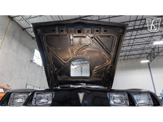 1979 Pontiac Trans Am Comp T/A (CC-2116316) for sale in New Braundfels, Texas