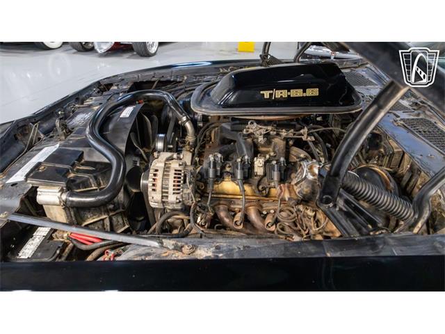 1979 Pontiac Trans Am Comp T/A (CC-2116316) for sale in New Braundfels, Texas