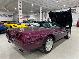 1995 Chevrolet Corvette (CC-2116333) for sale in Dallas, Texas