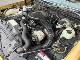 1979 Oldsmobile Cutlass (CC-2116343) for sale in Greensboro, North Carolina
