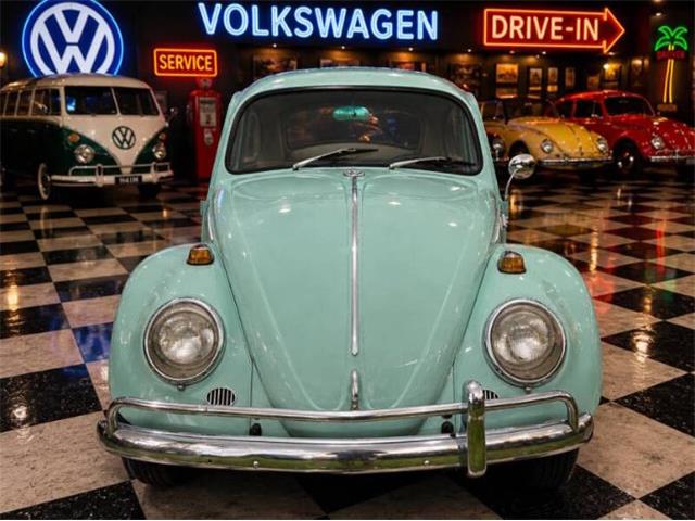 1966 Volkswagen Beetle (CC-2116355) for sale in Cadillac, Michigan