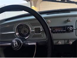 1966 Volkswagen Beetle (CC-2116355) for sale in Cadillac, Michigan