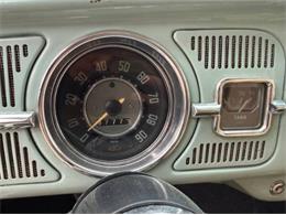 1966 Volkswagen Beetle (CC-2116355) for sale in Cadillac, Michigan