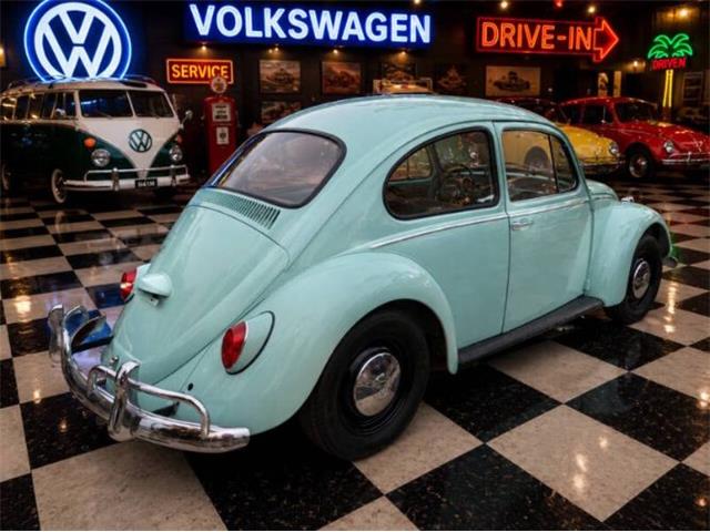 1966 Volkswagen Beetle (CC-2116355) for sale in Cadillac, Michigan