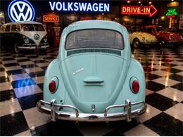 1966 Volkswagen Beetle (CC-2116355) for sale in Cadillac, Michigan