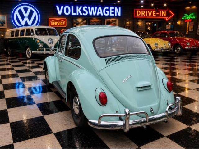 1966 Volkswagen Beetle (CC-2116355) for sale in Cadillac, Michigan