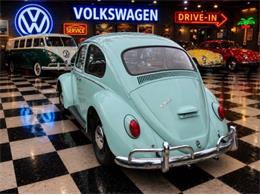 1966 Volkswagen Beetle (CC-2116355) for sale in Cadillac, Michigan