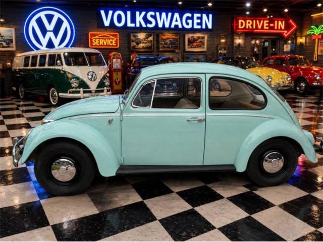 1966 Volkswagen Beetle (CC-2116355) for sale in Cadillac, Michigan