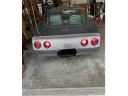 1981 Chevrolet Corvette (CC-2116357) for sale in Cadillac, Michigan