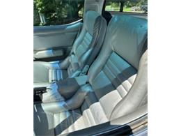 1981 Chevrolet Corvette (CC-2116357) for sale in Cadillac, Michigan