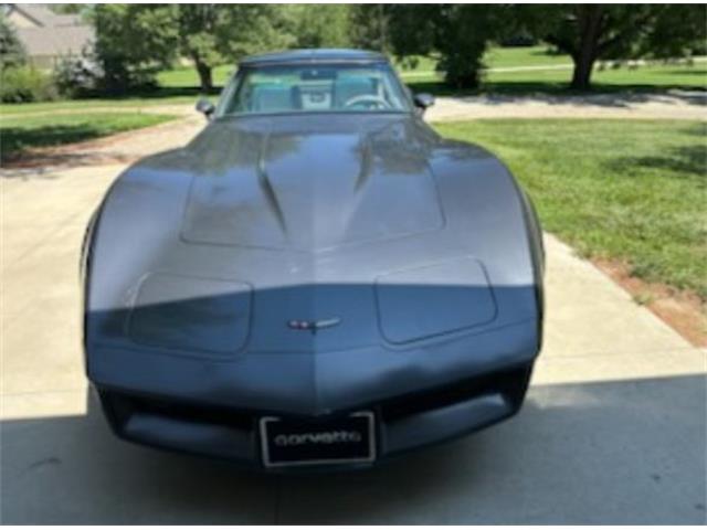 1981 Chevrolet Corvette (CC-2116357) for sale in Cadillac, Michigan