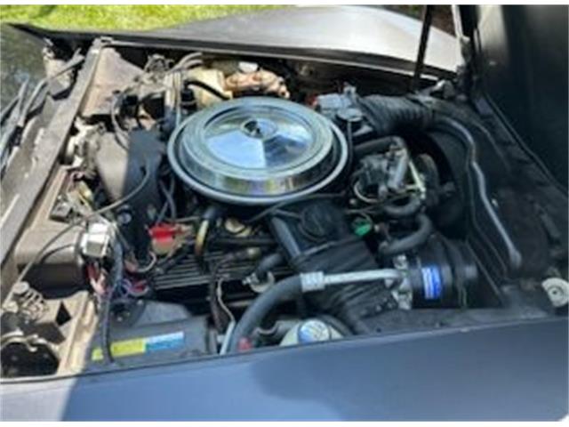 1981 Chevrolet Corvette (CC-2116357) for sale in Cadillac, Michigan