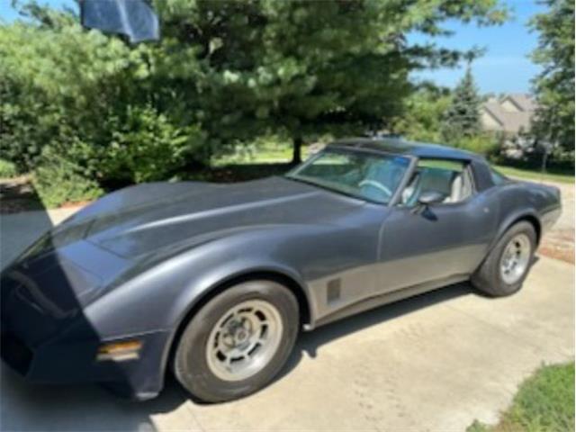 1981 Chevrolet Corvette (CC-2116357) for sale in Cadillac, Michigan