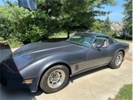 1981 Chevrolet Corvette (CC-2116357) for sale in Cadillac, Michigan