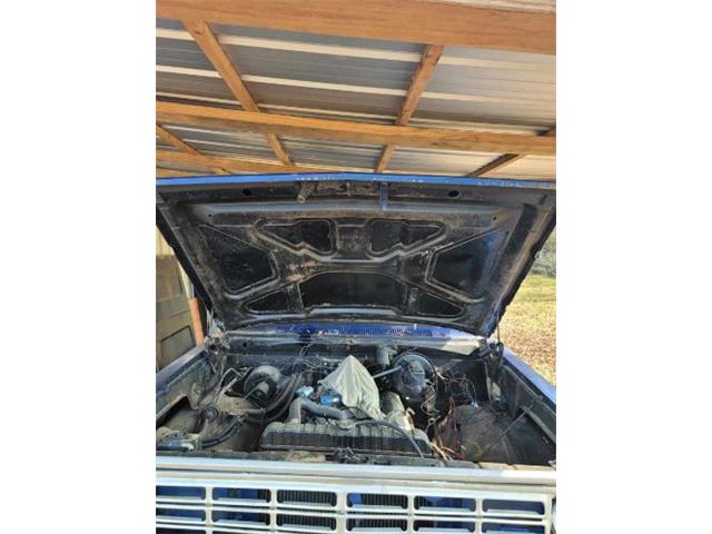 1976 Dodge D100 (CC-2110636) for sale in Cadillac, Michigan