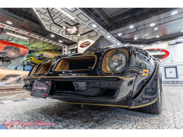 1976 Pontiac Trans Am Comp T/A (CC-2116385) for sale in Lenoir City, Tennessee