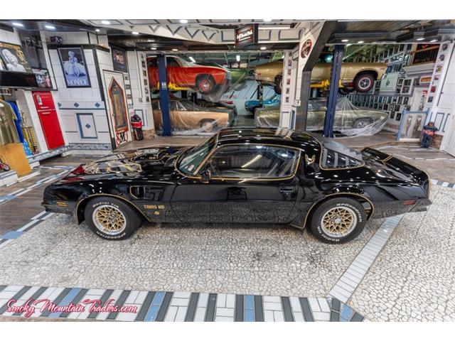 1976 Pontiac Trans Am Comp T/A (CC-2116385) for sale in Lenoir City, Tennessee