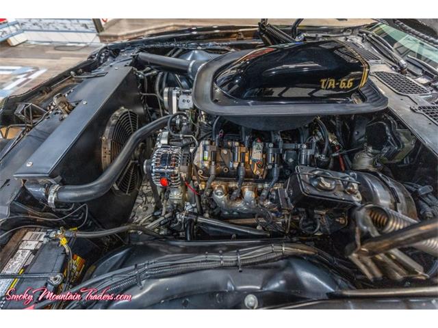 1976 Pontiac Trans Am Comp T/A (CC-2116385) for sale in Lenoir City, Tennessee