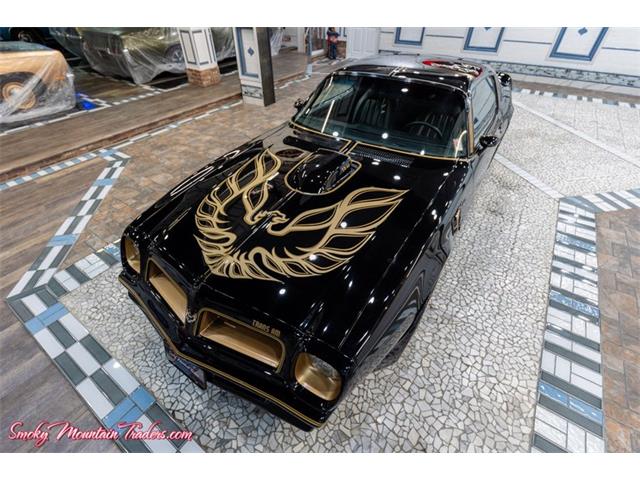 1976 Pontiac Trans Am Comp T/A (CC-2116385) for sale in Lenoir City, Tennessee
