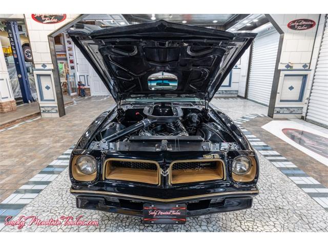 1976 Pontiac Trans Am Comp T/A (CC-2116385) for sale in Lenoir City, Tennessee