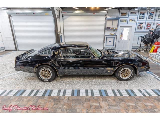 1976 Pontiac Trans Am Comp T/A (CC-2116385) for sale in Lenoir City, Tennessee