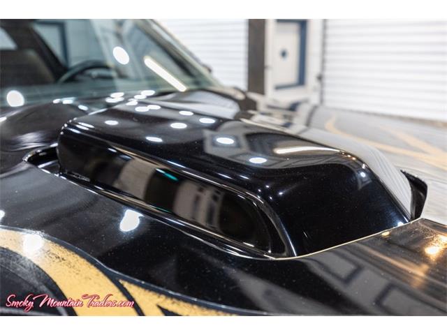 1978 Pontiac Trans Am Comp T/A (CC-2116387) for sale in Lenoir City, Tennessee
