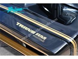 1979 Pontiac Trans Am Comp T/A (CC-2116405) for sale in Lakeland, Florida